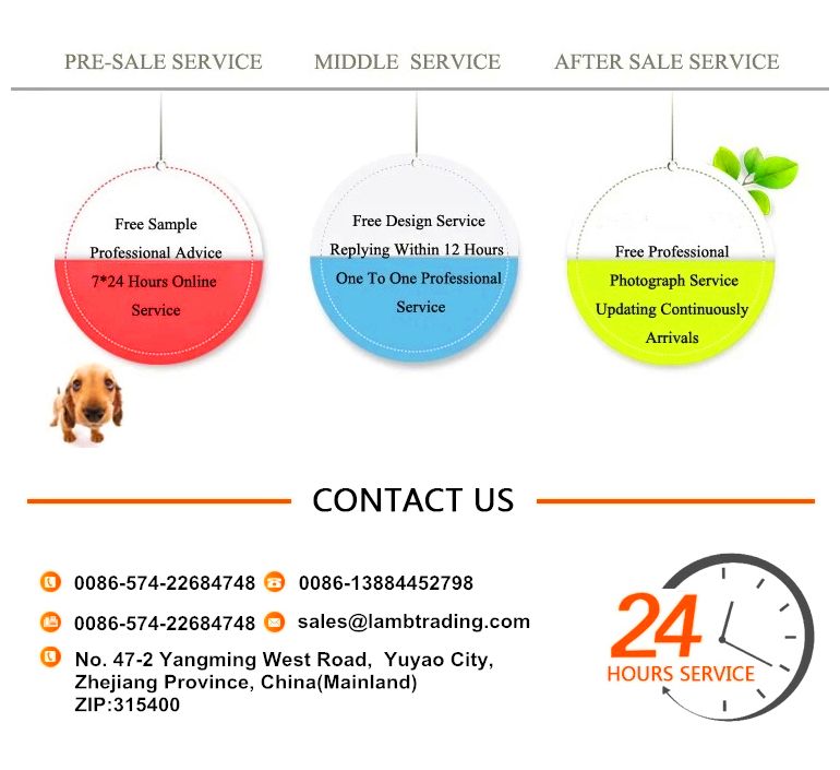 Buy Transparent Pet Backpack Cat Bag Cat Backpack Carrier Space Capsule