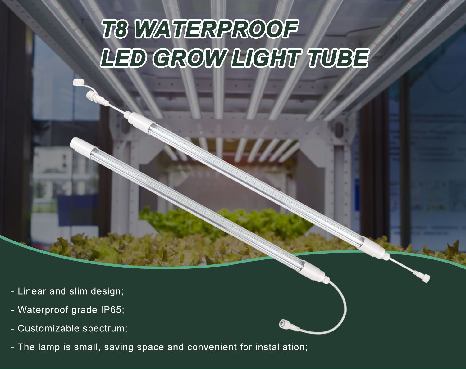 Buy 6400k 9000k 2ft 4ft T8 Led Grow Light Bulb Led Plants Full Spectrum ...