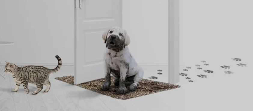 Buy Clean Step Mat Absorbs Mud Like Magic Made Of 55% Cotton And 45% ...