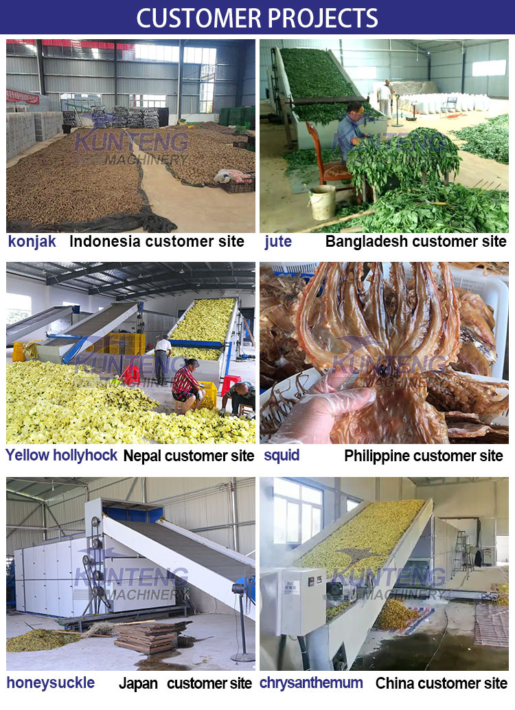 Energy Saving Tray Type Vegetables Pepper Fruits Drying Machine Food Drying Room