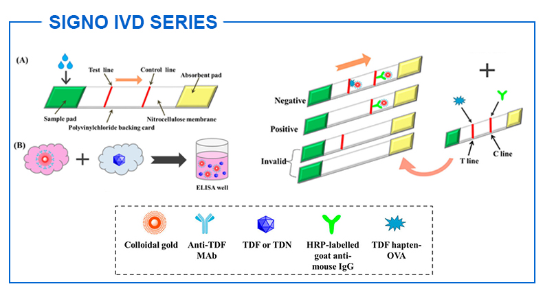 Buy High Accuracy Monkeypox Detection Kit Reagent Pcr Test Monkeypox ...