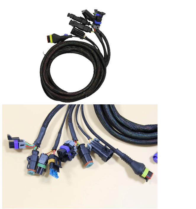 Buy Braided Cable Sleeving Custom Auto Race Car Wiring Harness With Dt06-4s  Plug from Lead Wire Harness Ltd., China