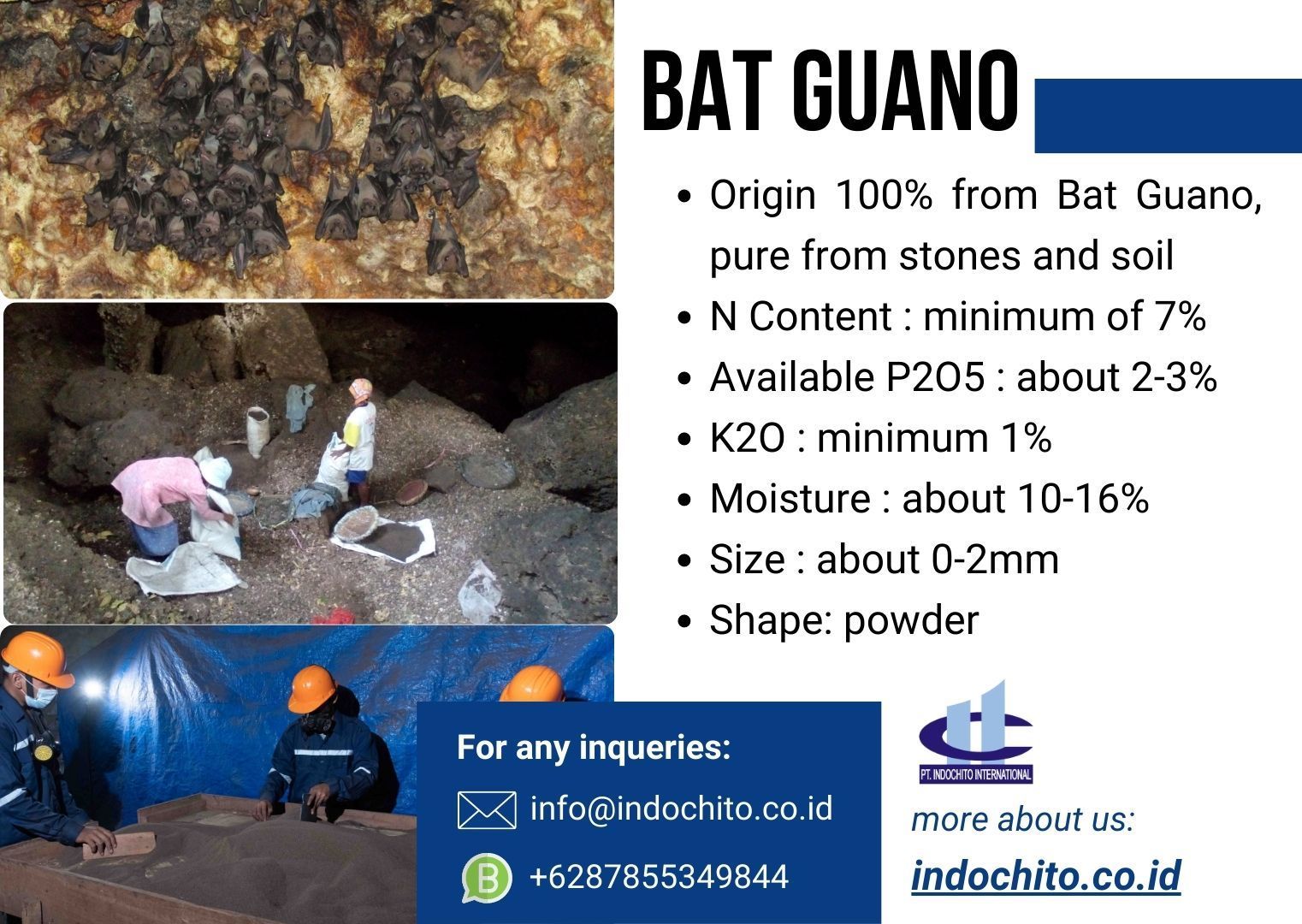 Buy 100% Pure Bat Guano from PT Indochito International, Indonesia ...