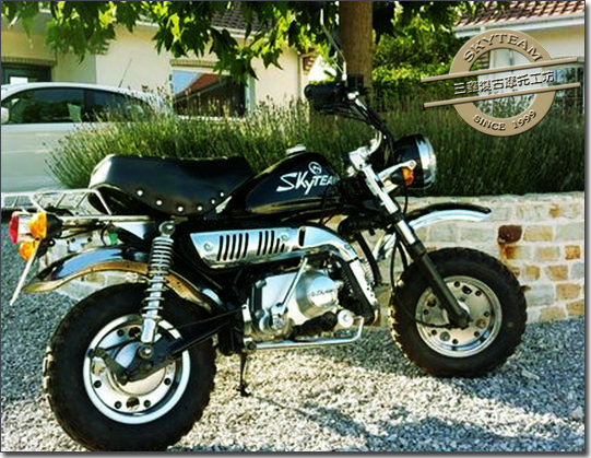 Skyteam 125 on sale monkey bike