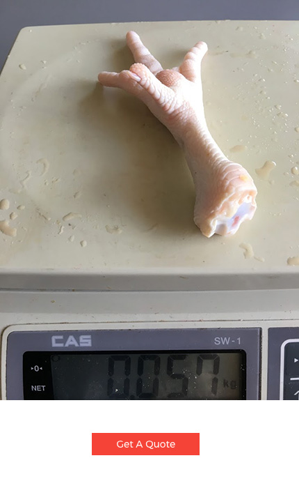 Chicken Feet Suppliers - Grade A Chicken Feet - Brazil