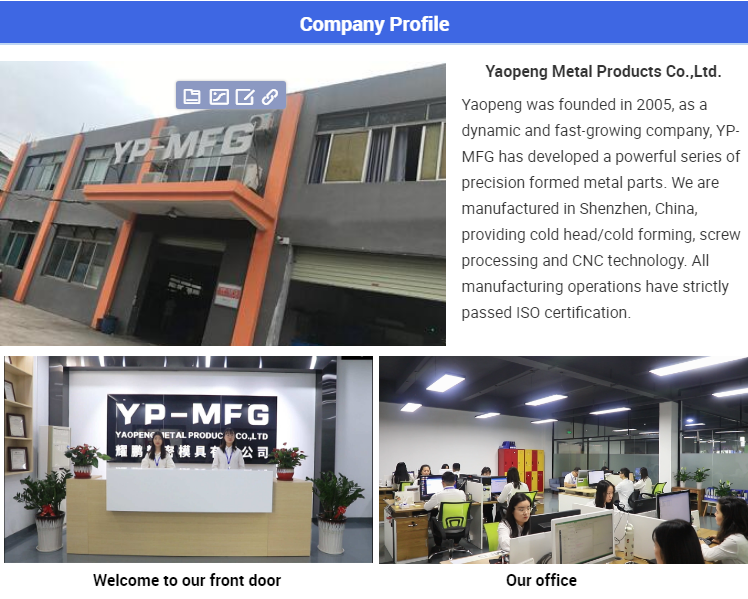 Shenzhen Yaopeng Company Profile