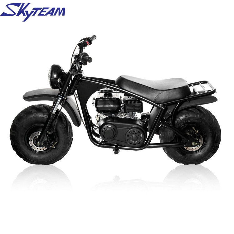 Skyteam Sky power 3.jpg