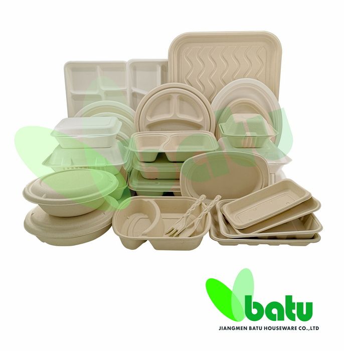 Buy Sugarcane Bagasse Pulp Biodegradable And Compostable Disposable ...