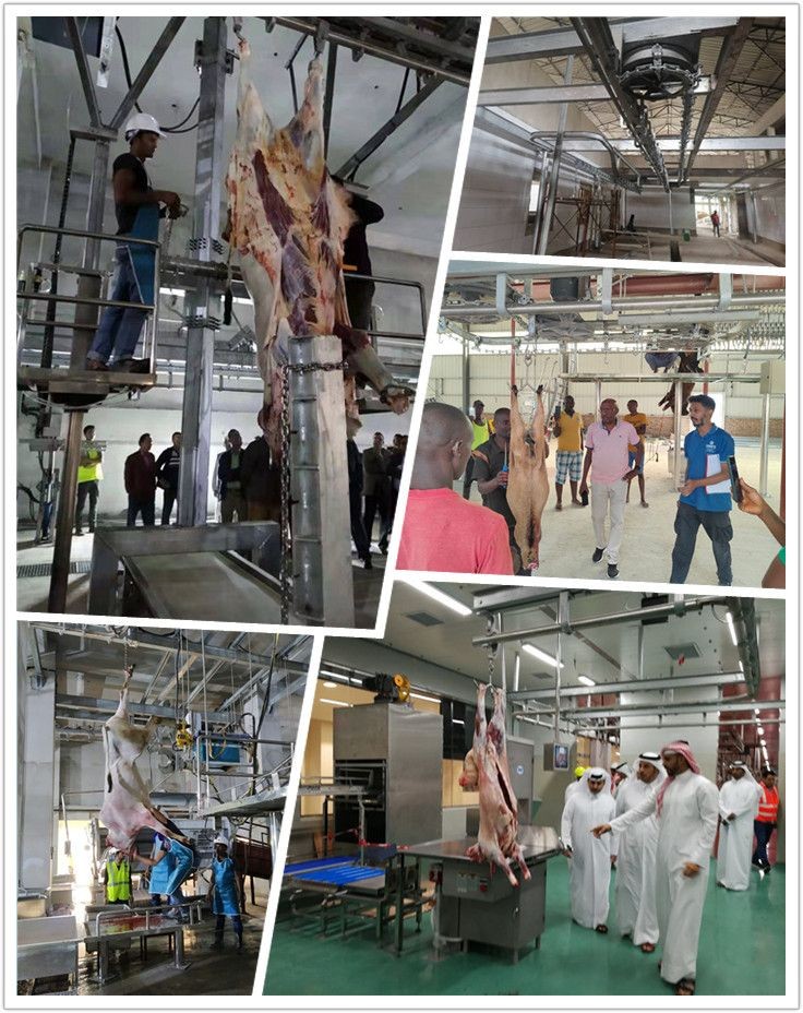 Buy Halal Cattle Slaughterhouse With Beef Butcher Abattoir Meat Process