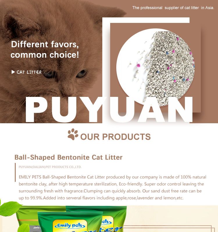 Buy Emily Pets Produce Super Water Absorption Good Clumping Easy Clean