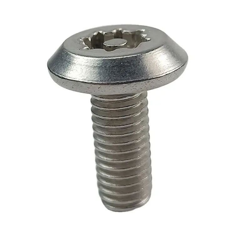 Stainless Steel Button Head Torx Anti Theft Sheet Metal Screw Security  Fastener - China Fastener, Security Fastener