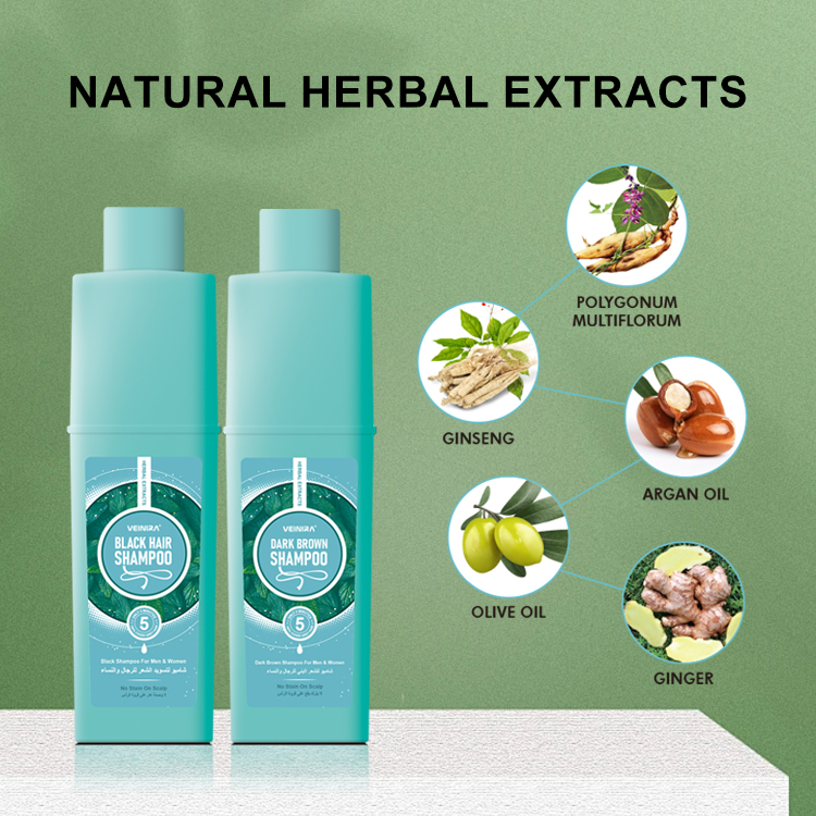China Factory Private Label Black Hair Shampoo Hair Color Dye Shampoo Customization No Ammonia No Stain Skin