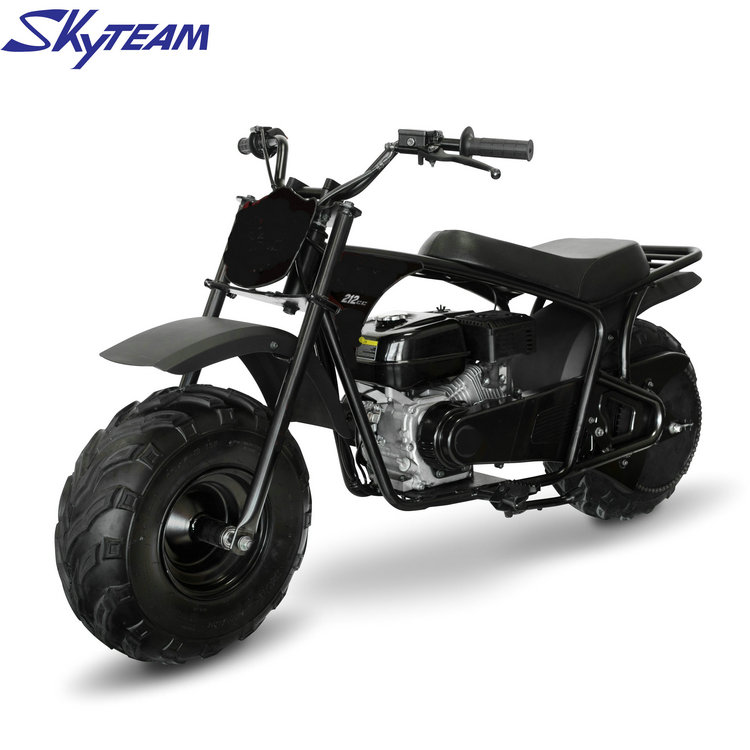 Skyteam Sky power basic.jpeg