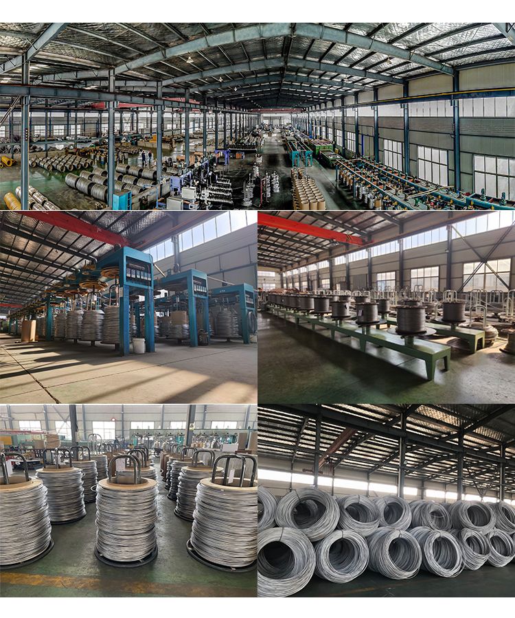 Buy Astm Jib Sus302,304,316 Stainless Spring Wire Ss Wire from Jiangsu ...