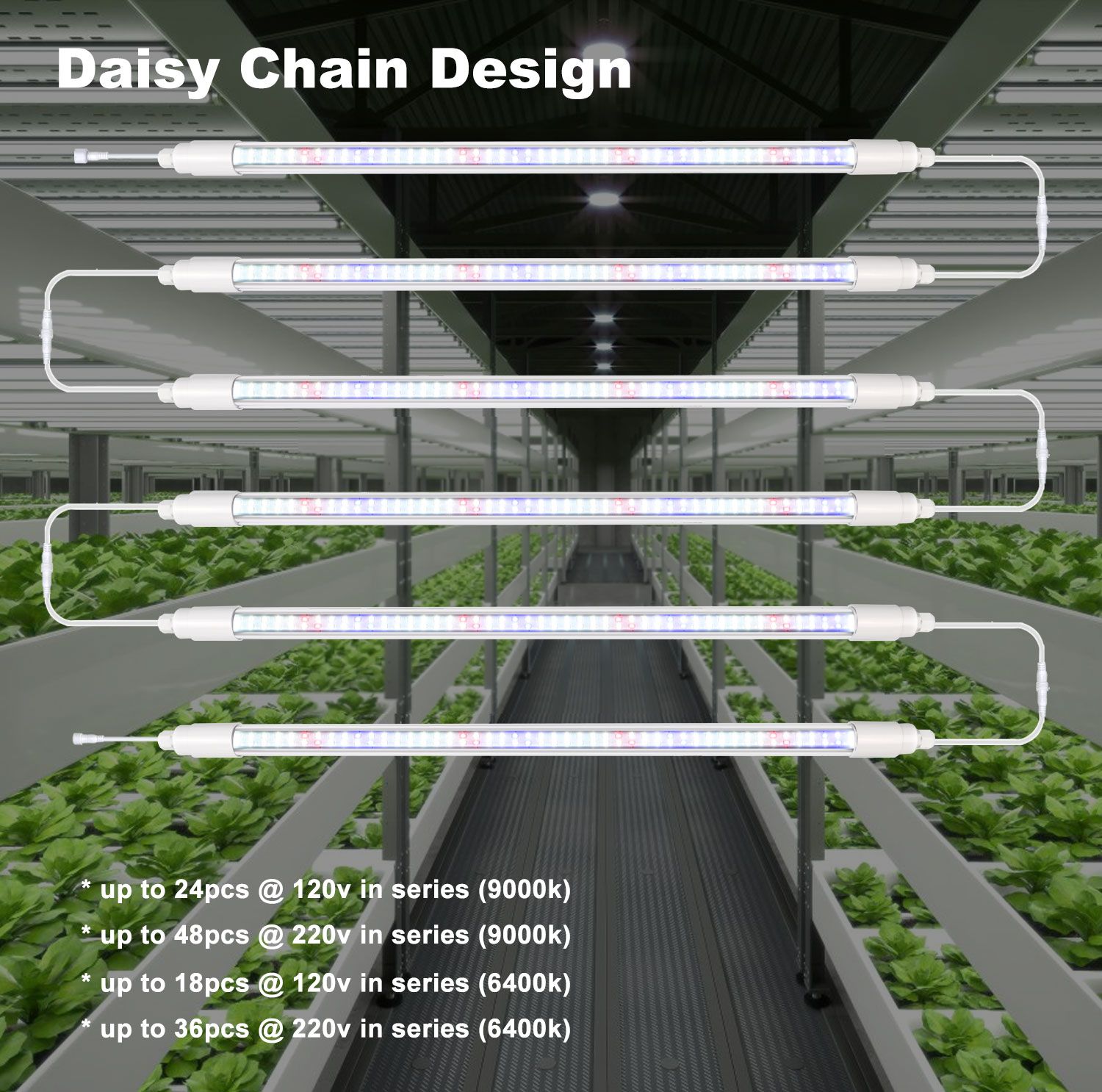Buy 6400k 9000k 2ft 4ft T8 Led Grow Light Bulb Led Plants Full Spectrum ...