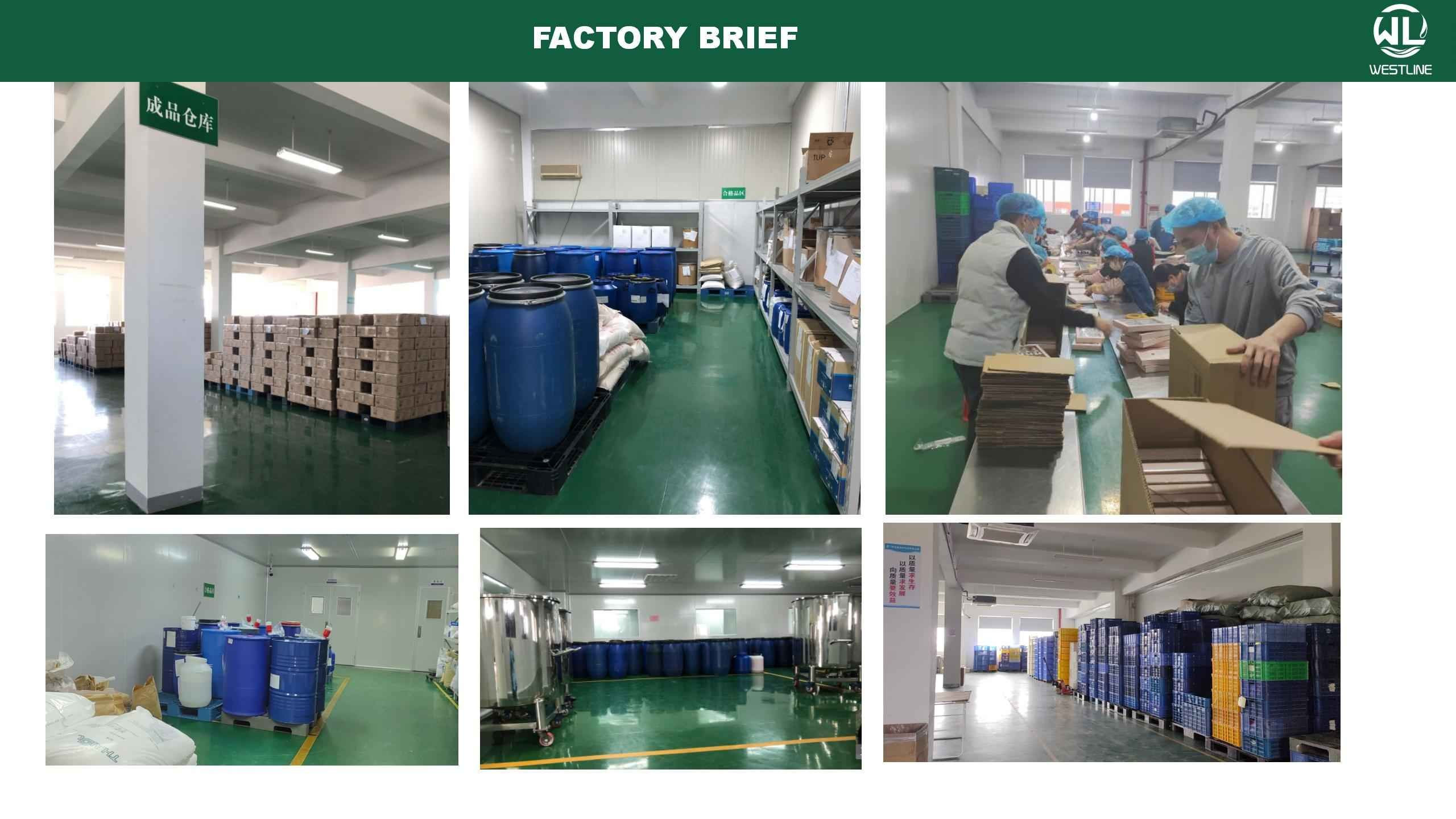 factory brief