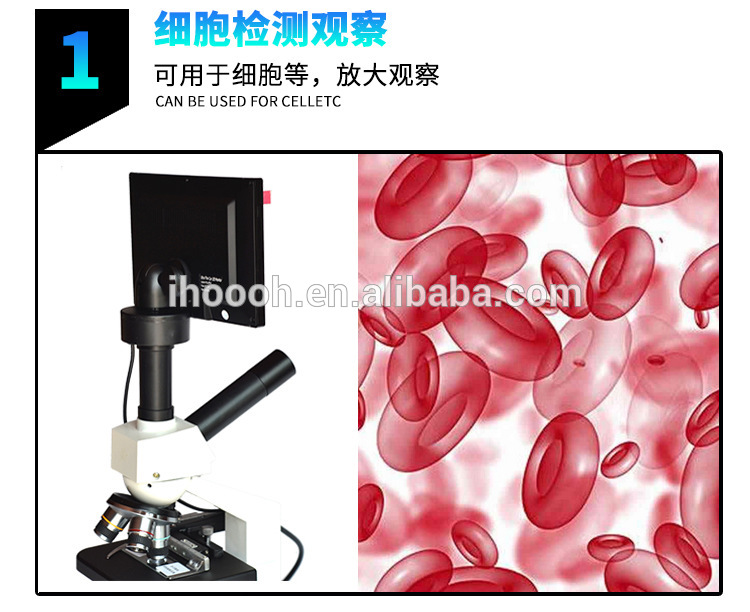 Microscope Blood Cell Machine Buy 10inch Hd Cell Biological Microscope One Drop Of Blood Test ...