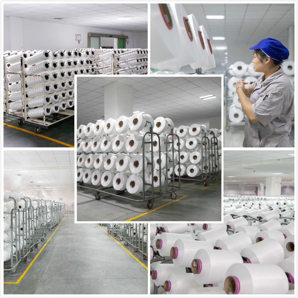 100% Nylon PA6 Polyamide FDY SD/Fd/TBR 30d/34f - China Polyester