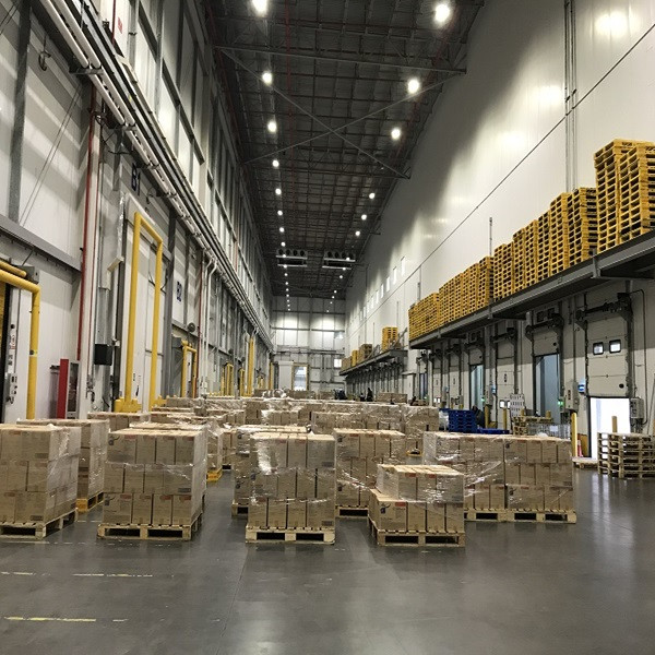 Buy Bulk Frozen Pork Jowls from SBS Wholesale Trading Inc, China