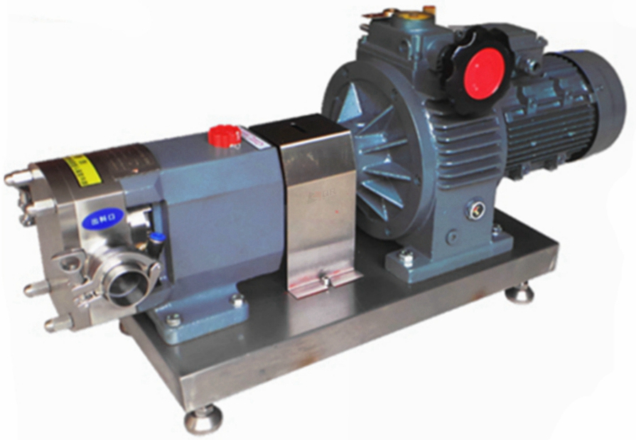 Buy Cam Fuel Pump Eccentric Rotor Pump Stainless Steel Lobe Pumps from