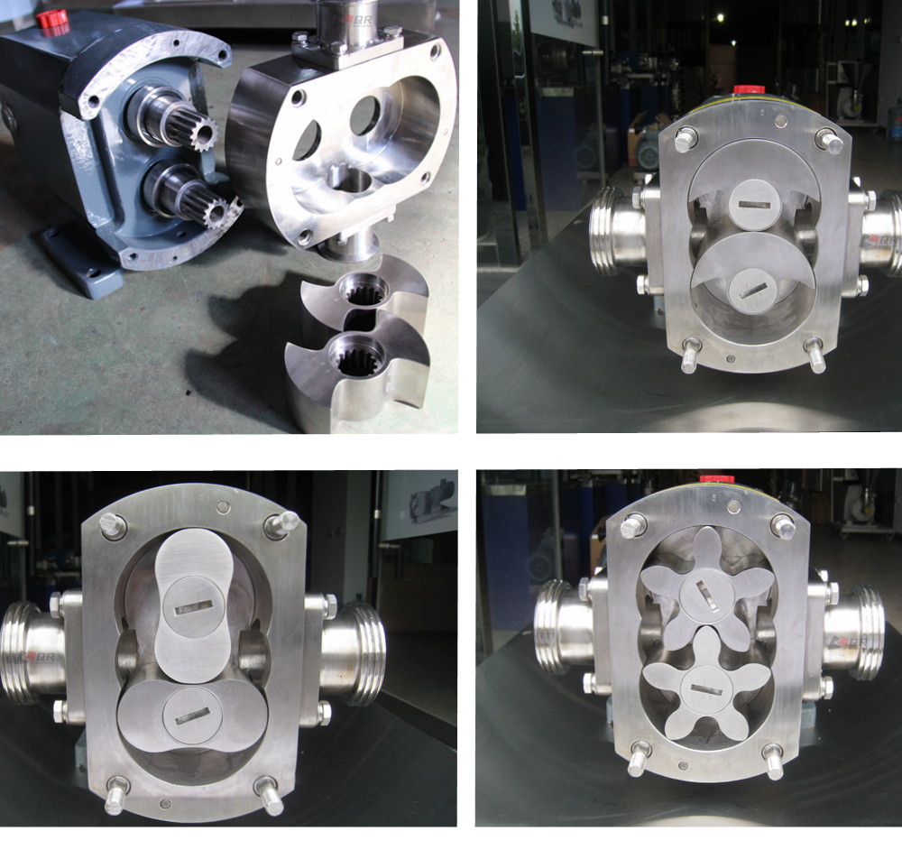 Buy Cam Fuel Pump Eccentric Rotor Pump Stainless Steel Lobe Pumps from