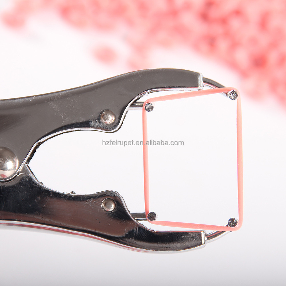 Buy Castration Bands Rubber Rings For Castration Docking Sheep Goats ...