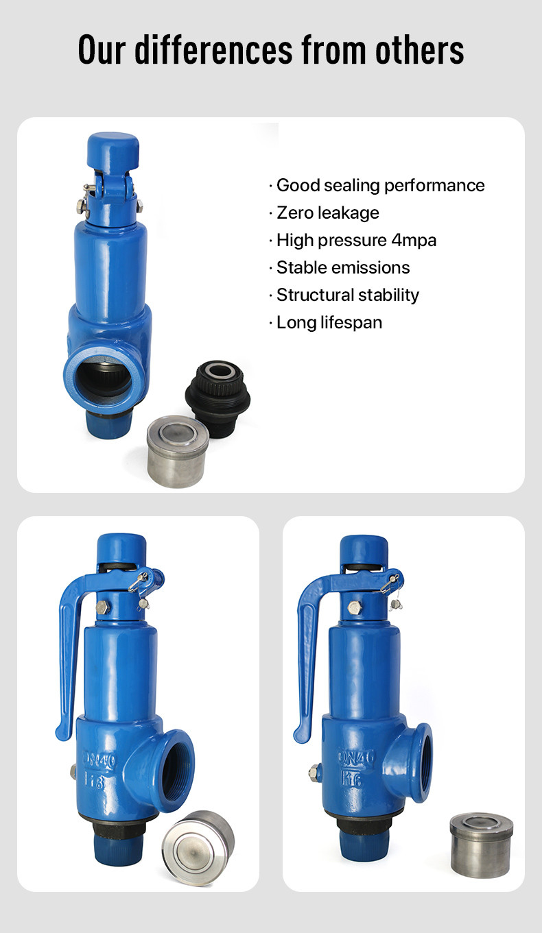 Buy Conventional Type Full Nozzle Spring Loaded Water/oil Safety Valve ...