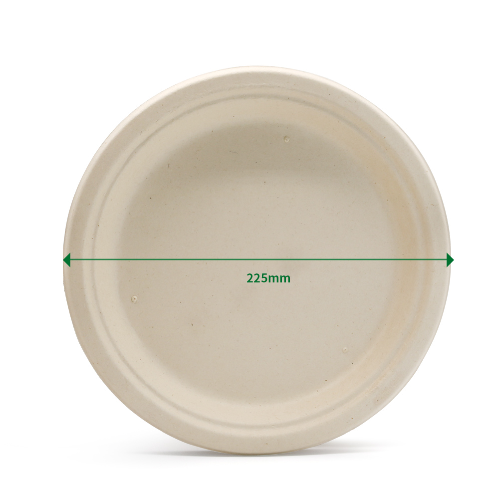 Buy Disposable Biodegradable Plates Sugarcane Bagasse Paper Pulp Mould ...