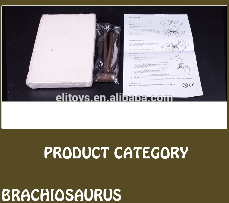 Kidoy Buy Diy Toy Educational Toy Dinosaur Excavation Kits Dinosaur Toys For ...
