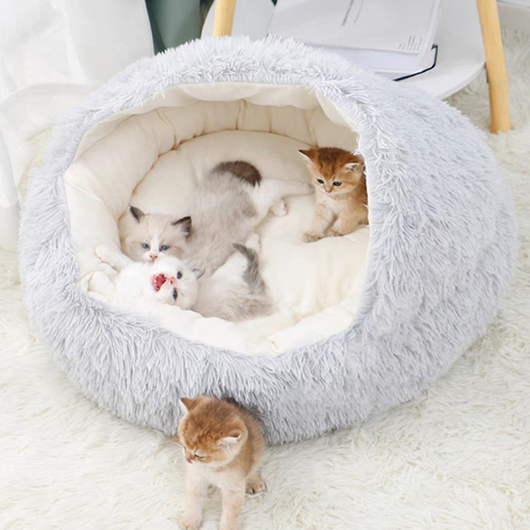 Buy Factory Pet Supply Shell Shape Pet Bed Winter Warm Dog Bed ...