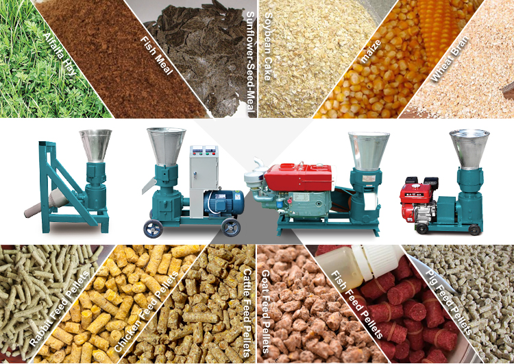 https://img2.tradewheel.com/uploads/images/mce_uploads/farm-machinery-equipment-pellet-the-production-of-pelleted-poultry-mini-pelletizer-machines-for-animal-feed5-0943114001607444544.jpg
