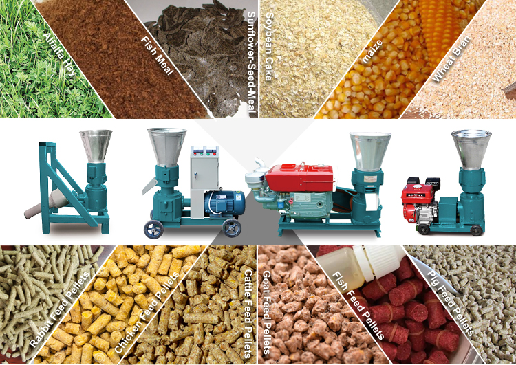 Pelletizer Pellet Mill Multi-function Feed Food Pellet Making Machine  Animal Feed Granulator 100kg/h-120kg/h