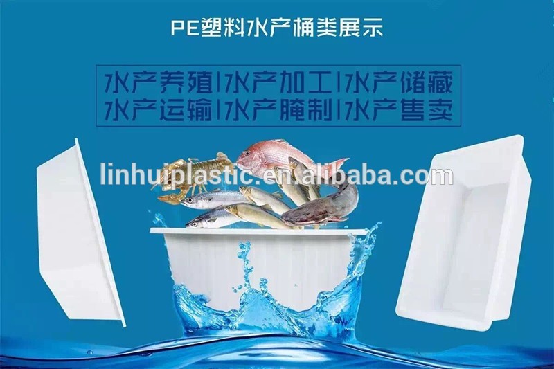 China Large Plastic Fish Tank Aquaculture Manufacturers, Suppliers