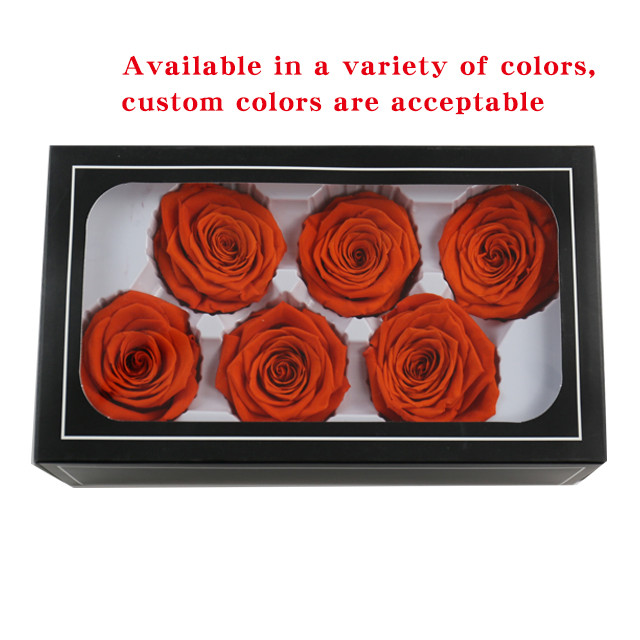 Lasting Real Roses Buy Grade B 5-6 Cm Long Lasting Real Touch Preserved Rose Everlasting ...