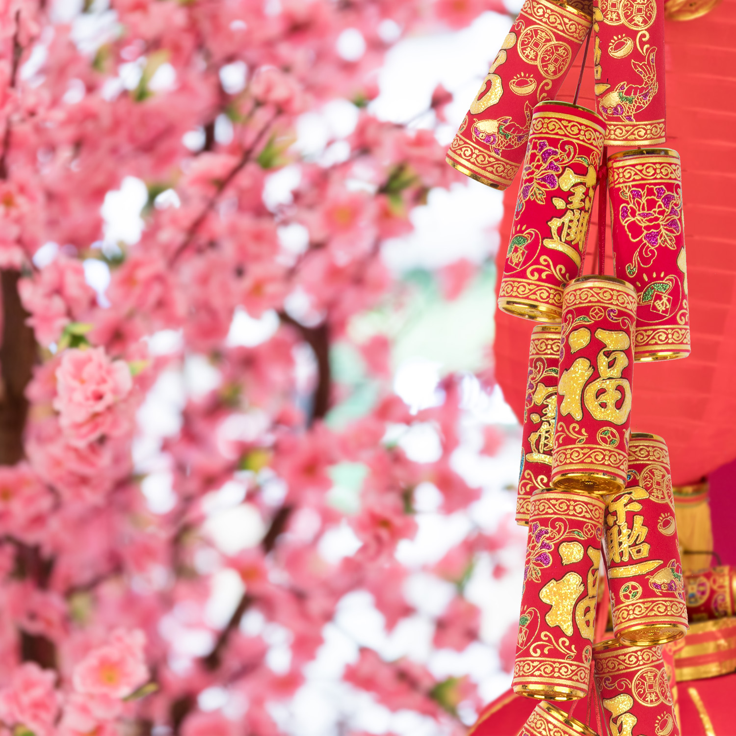 Chinese New Year Firecrackers with Spring Flower Blossoms