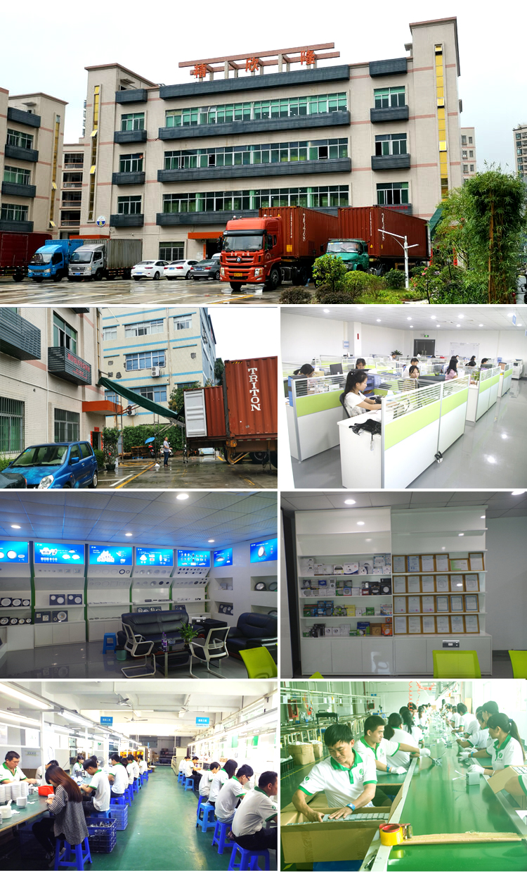 Buy Led Decorative Pathway Landscape Lights In Verde Finish With 150