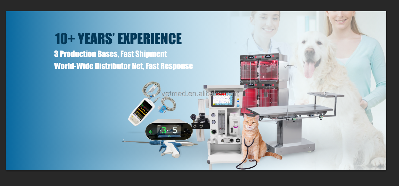 Buy Portable Animal Tumor Radiofrequency Ablation (rfa) Device ...