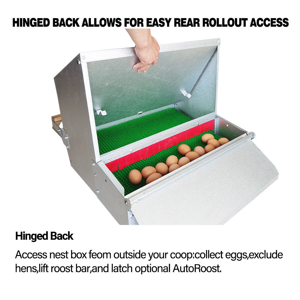 Buy Poultry Helper Automatic Chicken Nesting Box Roll Out For Hens ...