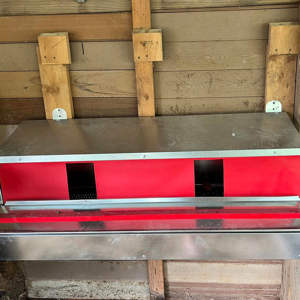 Buy Poultry Helper Automatic Chicken Nesting Box Roll Out For Hens ...