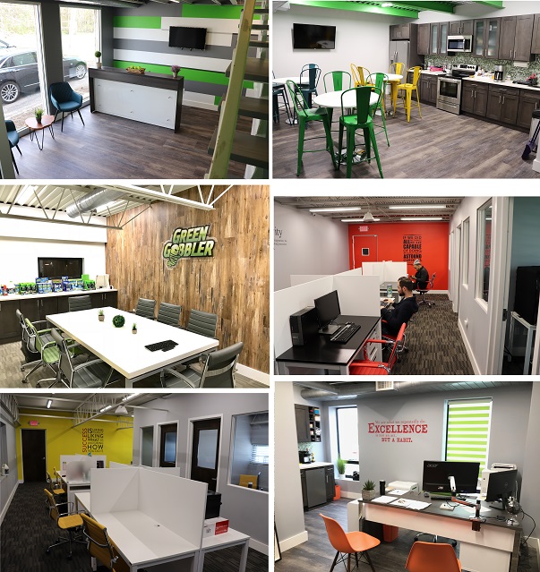 Buy Powerful Cleaner Mildew Mold Algae Stain Remover For Bathroom from