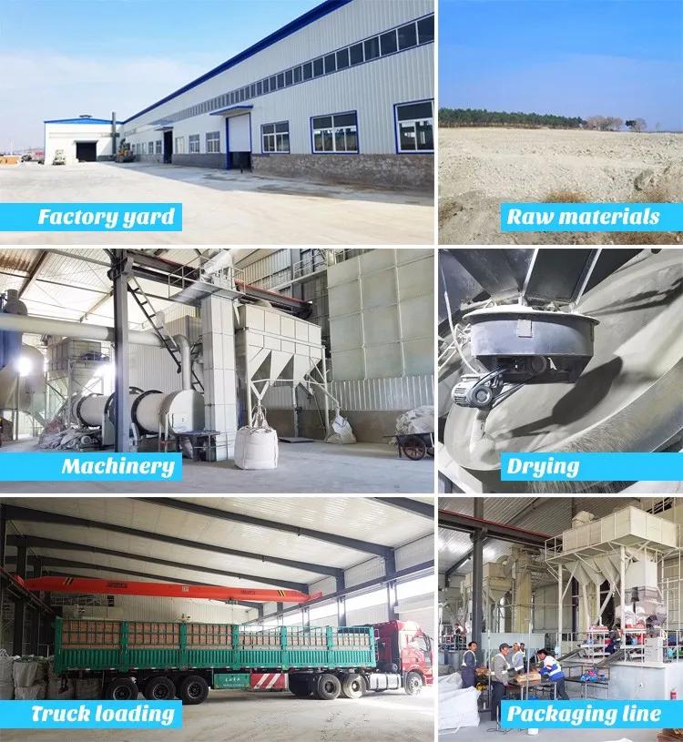 Buy Premium Bentonite Allergic Friendly 10 Days Odor Free Cat Litter