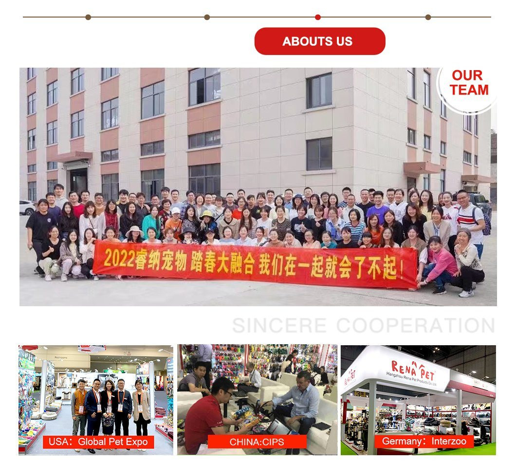 Buy Rena Pet Fun Character Ice Crean Frites Croissant Sunflower Squeaky