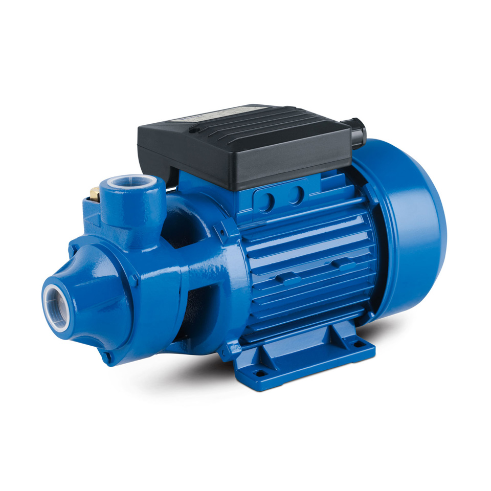 0.5 HP 1inch Cpm Series Centrifugal Electric Water Pump Home Use - China  Centrifugal Electric Water Pump, Brass Impeller Pump