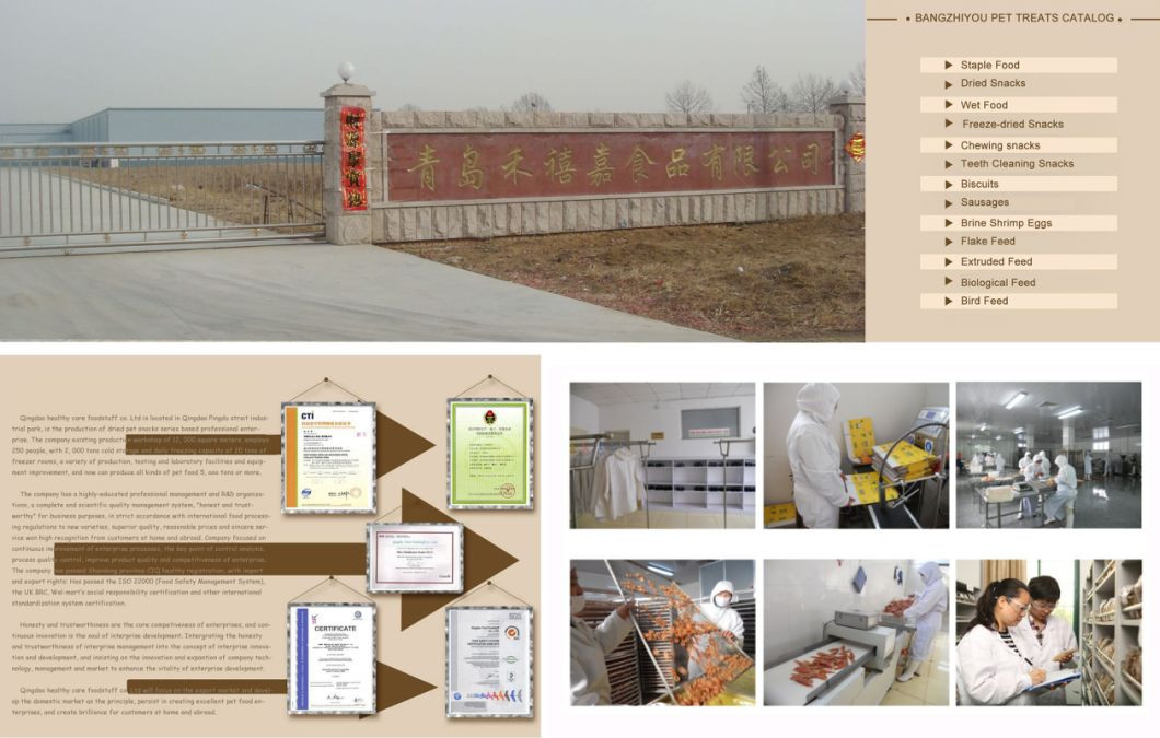 Buy Tropical Fish Extruded Feed 45 Protein Ornamental Fish Floating Pellet Fish Food from