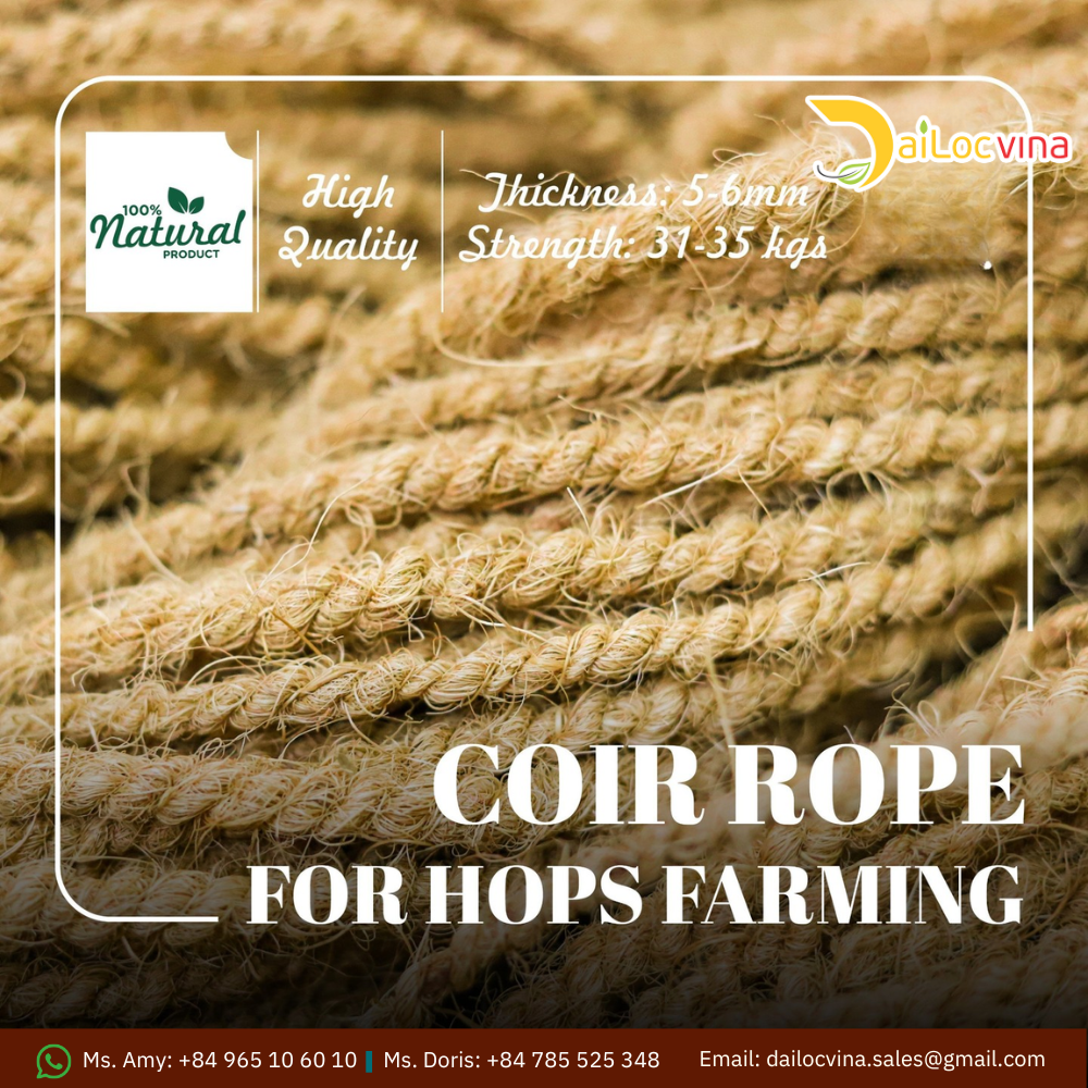 Buy Vietnam Natural Coconut Coir Ropes For Twisting Coco Fiber ...