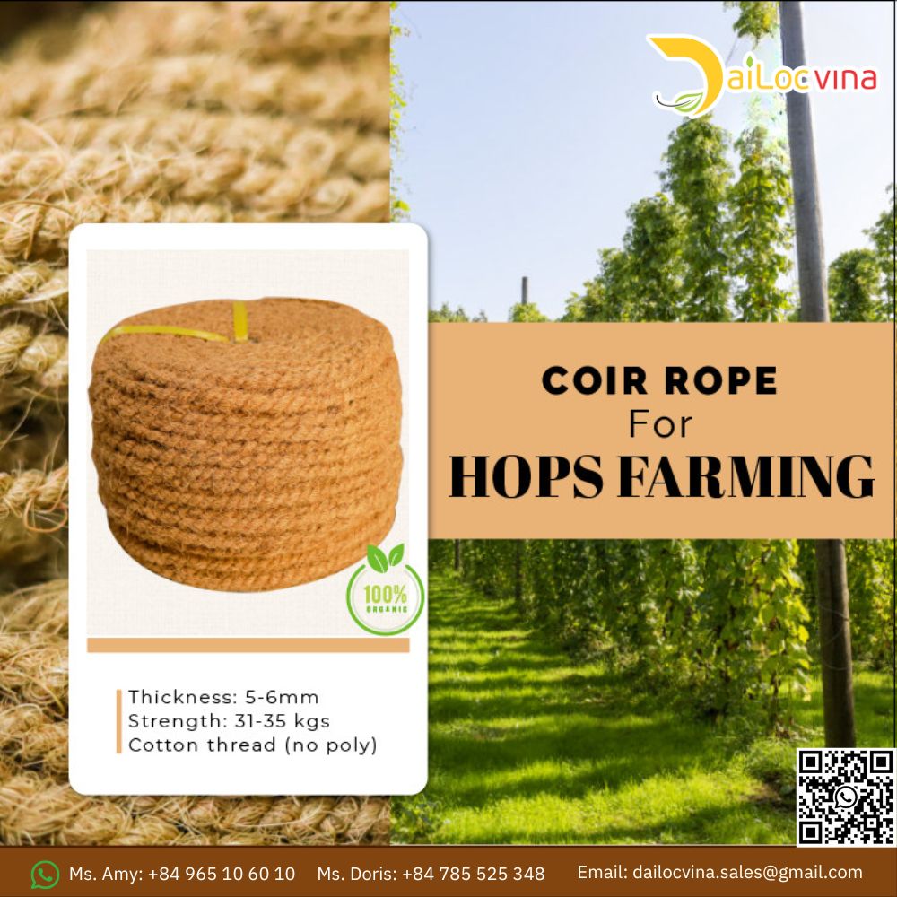Buy Vietnam Natural Coconut Coir Ropes For Twisting Coco Fiber ...