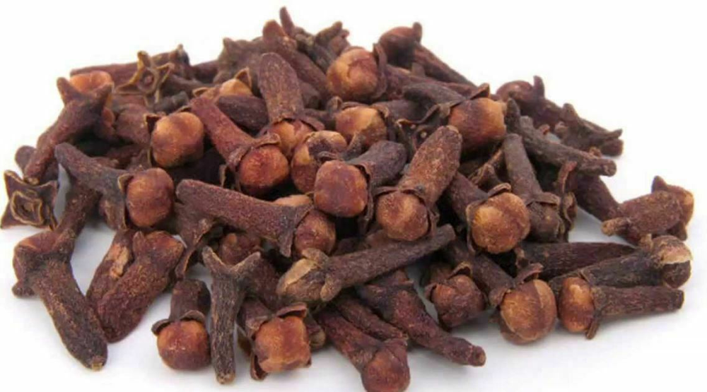 Buy Whole Cloves In Bulk from ANGC TRADING PTY LTD, South Africa