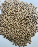 Green lentils
