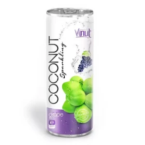 Premium 250ml Canned VINUT Coconut sparkling water drink with grape fruit flavour