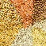 High Protein Yellow Lentils Bulk Export Quality Yellow Lentils Wholesale Packing For Importers Global Trade Market
